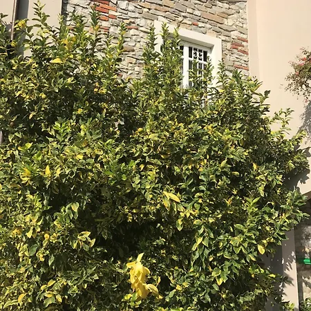 빌라 Vacanze Toscana 세라발레 피스토이에세