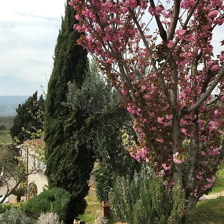 Vacanze Toscana 빌라 *