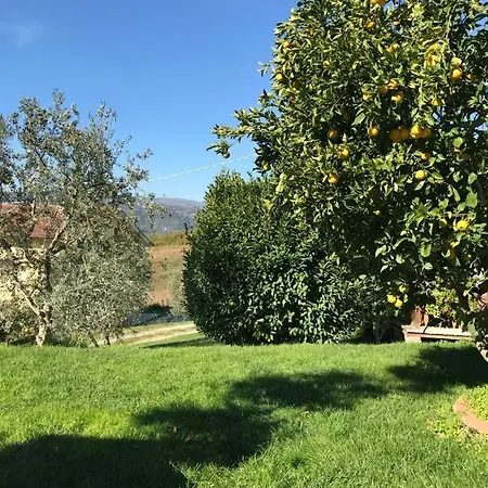 Vacanze Toscana 세라발레 피스토이에세